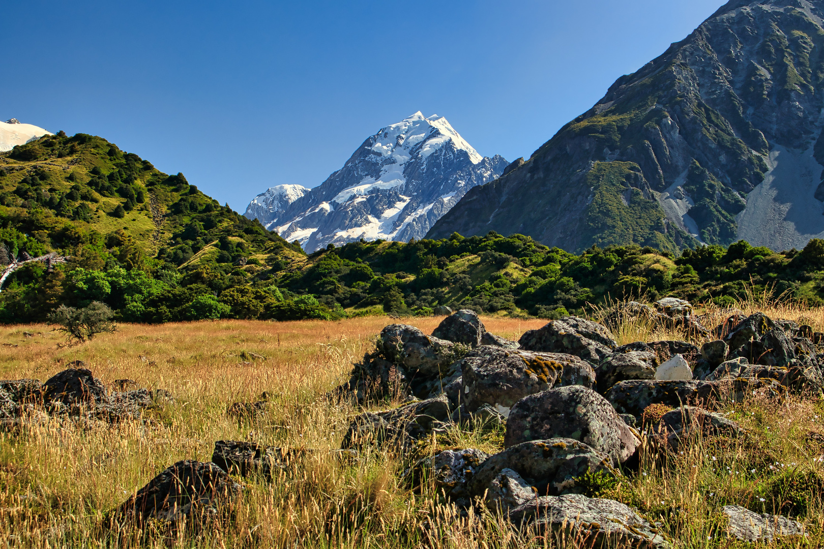 Mt. Cook