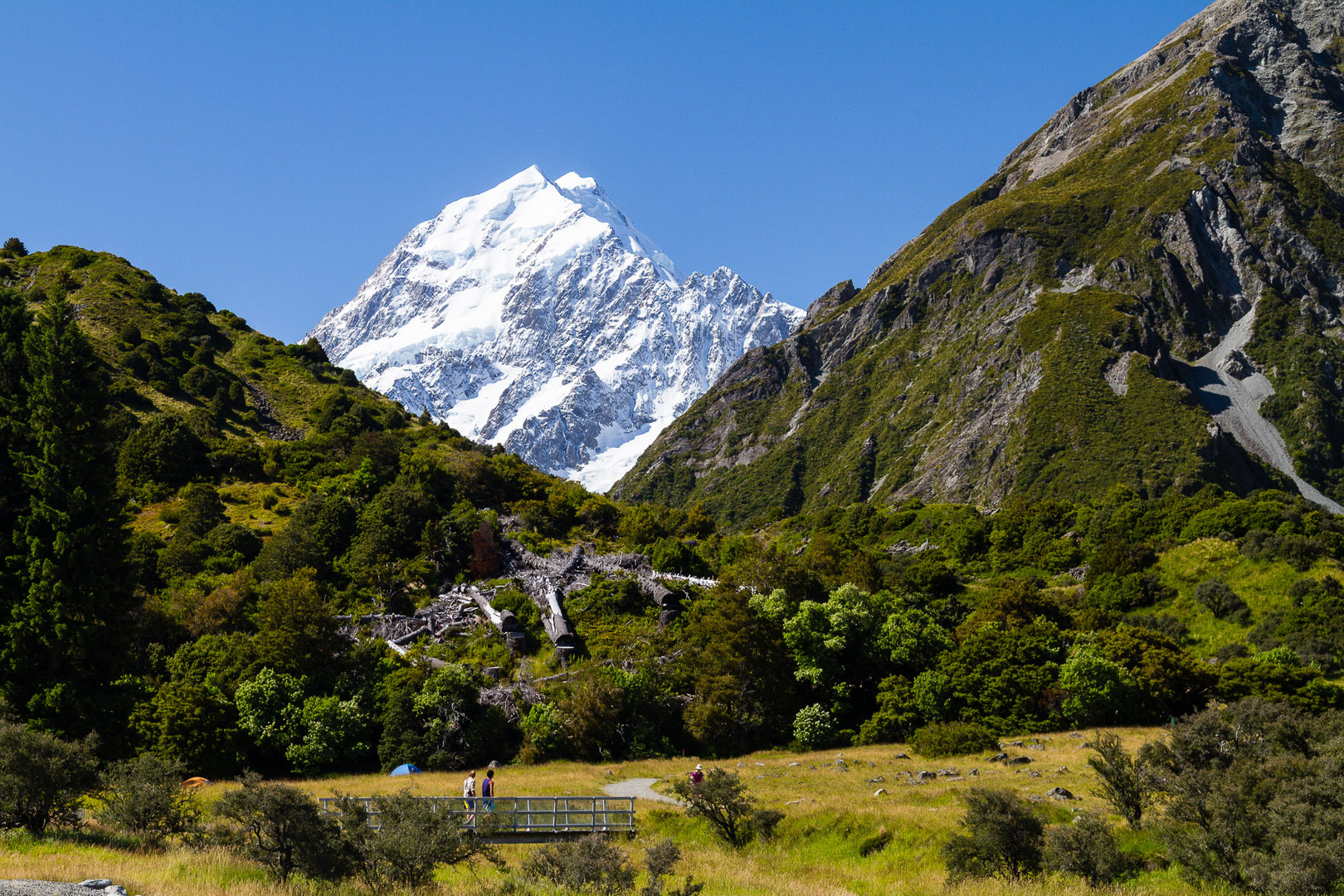 Mt. Cook (Aoraki)