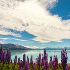 Mt. Cook mit Lake Pukaki