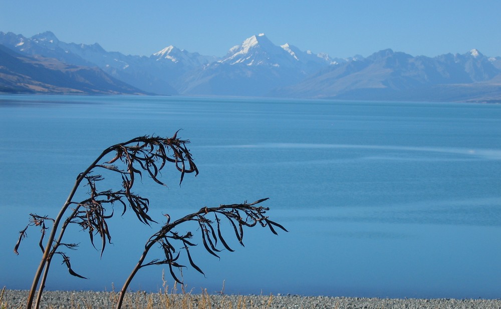 Mt Cook mit Lake Pukaki