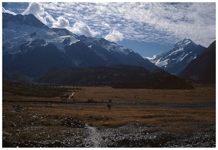 Mt. Cook National Park