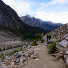 Mt. Edith Cavell