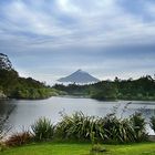 Mt. Egmont