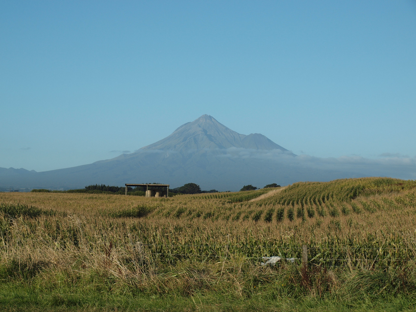 Mt Egmont aus der Ferne