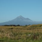 Mt Egmont aus der Ferne