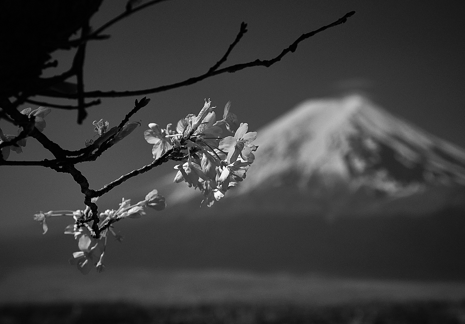 Mt Fuji