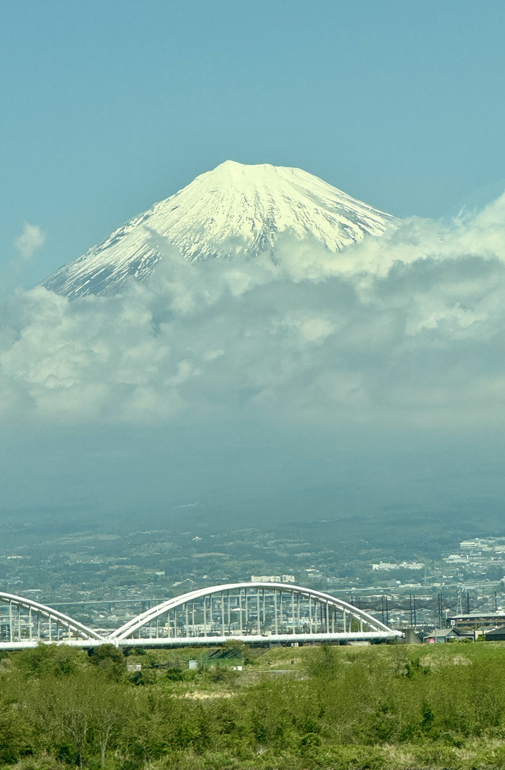 Mt. Fuji