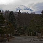 Mt. Fuji schenkt einen Blick vom Dorf an seinen Abhängen