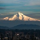 Mt. Hood