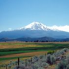 Mt. Hood Panorama