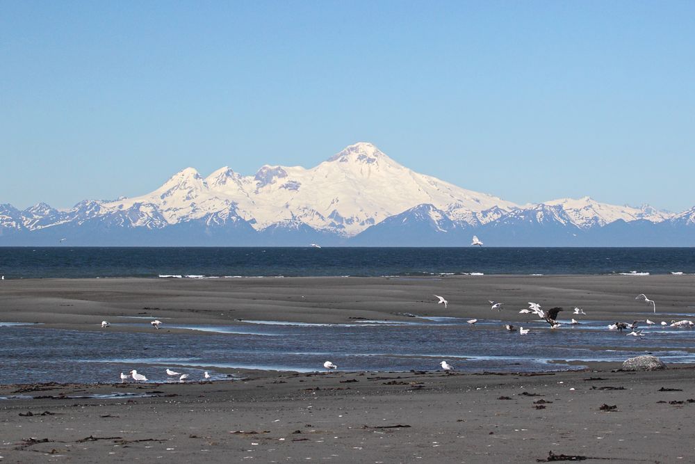 Mt. Iliamna Foto & Bild usa, world, outdoor Bilder auf