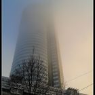 MT im Nebel 2015-12-28_08h38