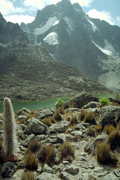 Mt. Kenya