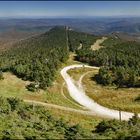 [ Mt. Killington ]