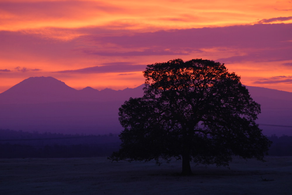 Mt. Lassen sunrise