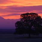 Mt. Lassen sunrise