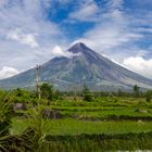 Mt. Mayon