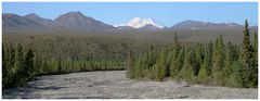  Mt. McKinley bzw. Denali