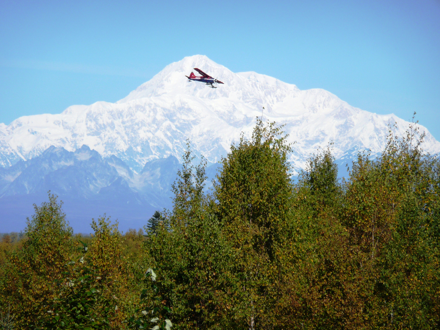 Mt McKinley