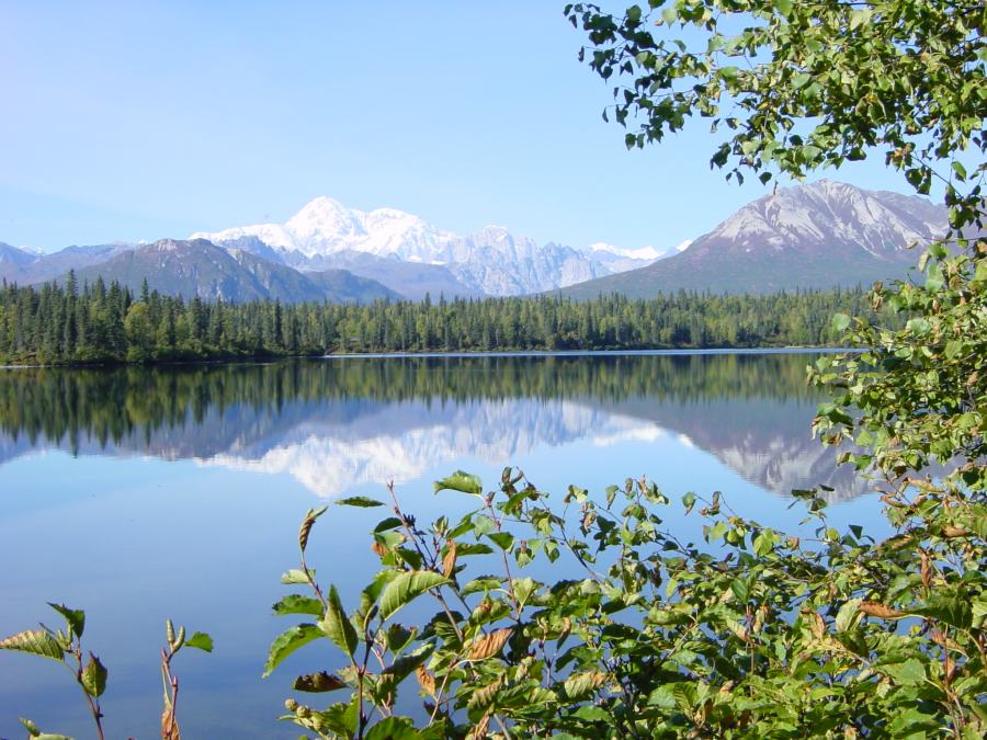 Mt. McKinley spiegelt sich im Byron Lake