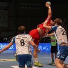 MT Melsungen vs. TBV Lemgo 08.02.14 2515