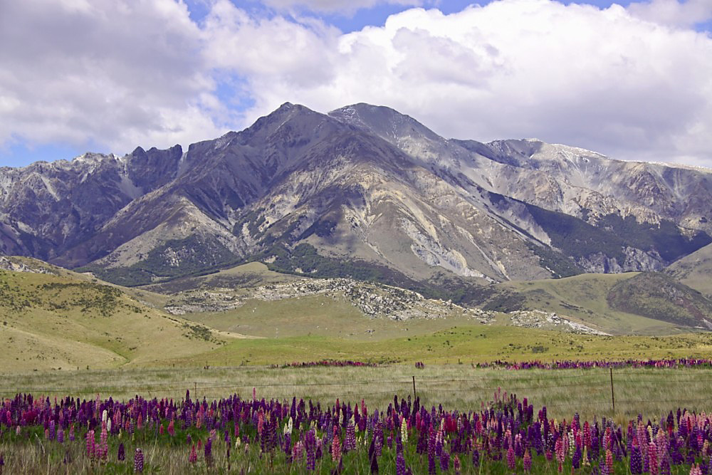 Mt. Misery - Arthur Pass NP