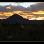 Mt. Ngauruhoe 3