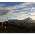 Mt. Ngauruhoe 5