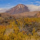 Mt. Ngauruhoe