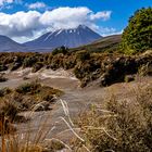 Mt. Ngauruhoe