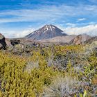 Mt. Ngauruhoe