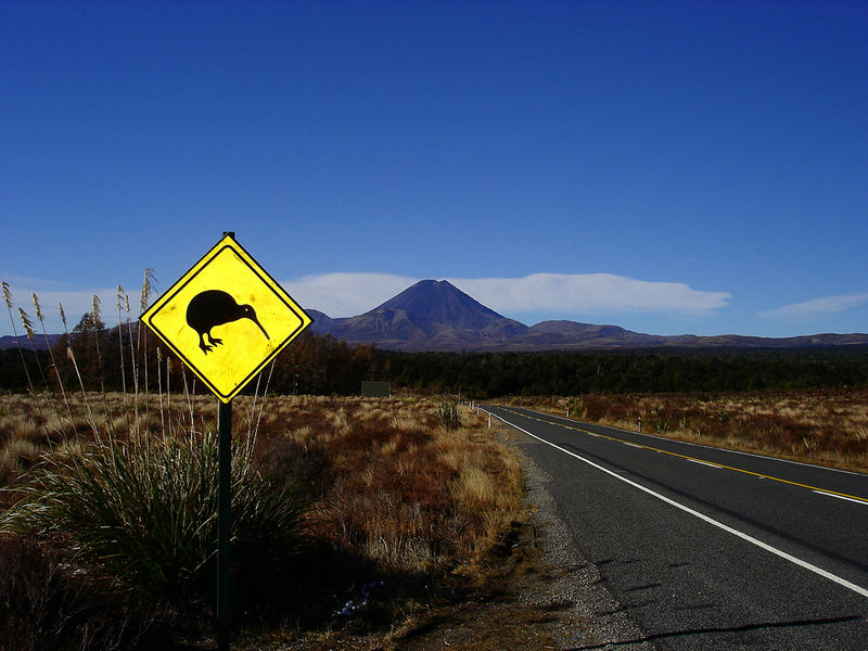 Mt. Ngauruhoe, New Zealand