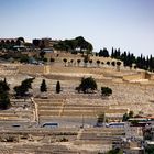 Mt of Olives