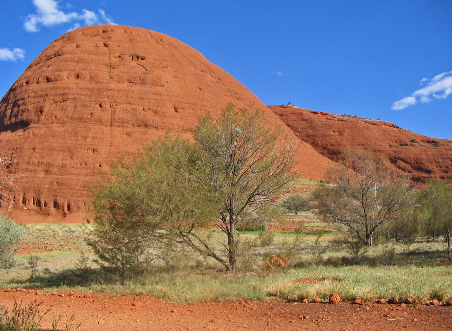 Mt. Olga