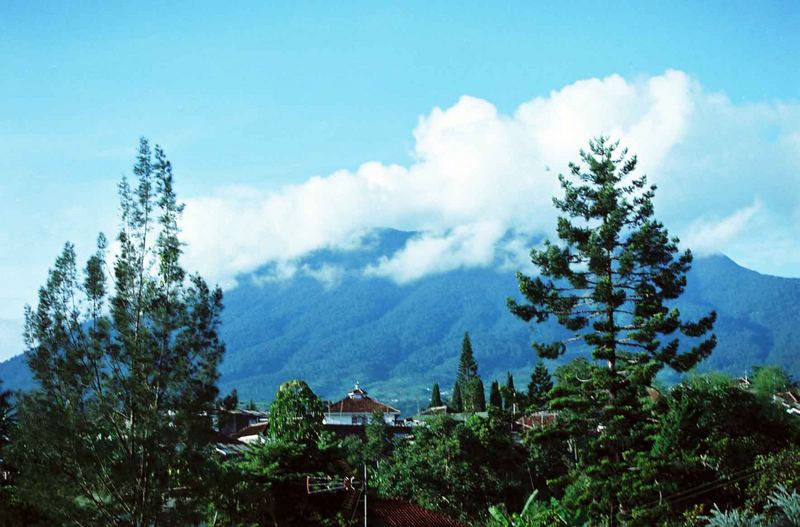 mt. pangrango - (cibodas-west java)