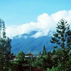 mt. pangrango - (cibodas-west java)