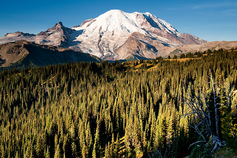 Mt. Rainier