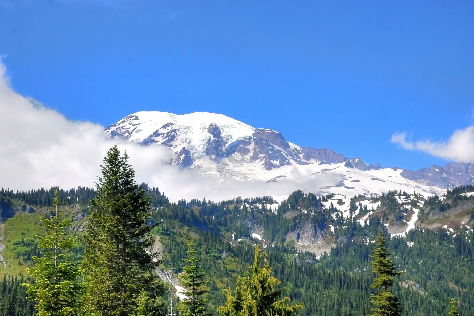 Mt. Rainier