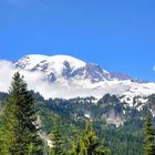 Mt. Rainier