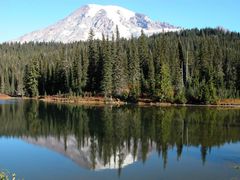 Mt. Rainier