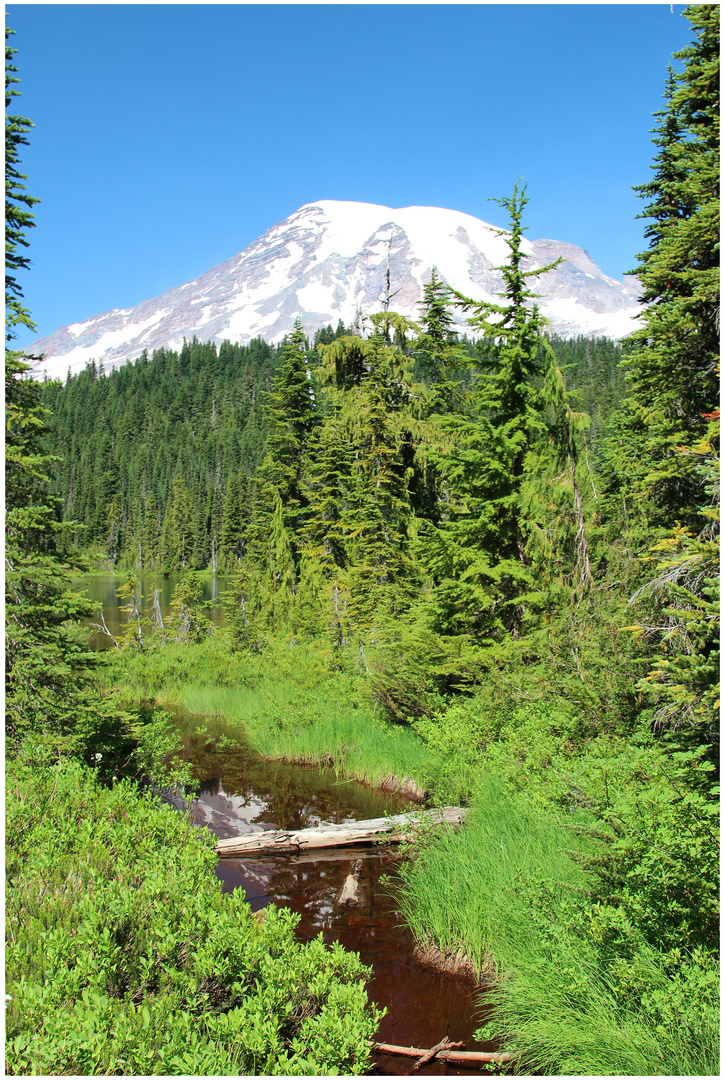 Mt Rainier