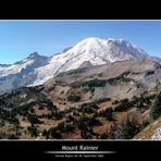 Mt. Rainier :: Ein Panorama zum Träumen