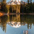 Mt. Rainier