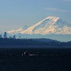 Mt. Rainier mit Seattle im Vordergrund