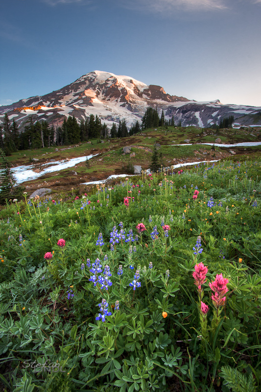 Mt. Rainier Sunrise