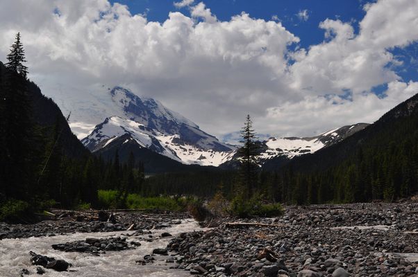Mt. Rainier wolkenverhangen