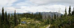 Mt. Revelstoke Nationalpark