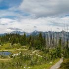 Mt. Revelstoke NP