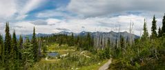 Mt. Revelstoke NP