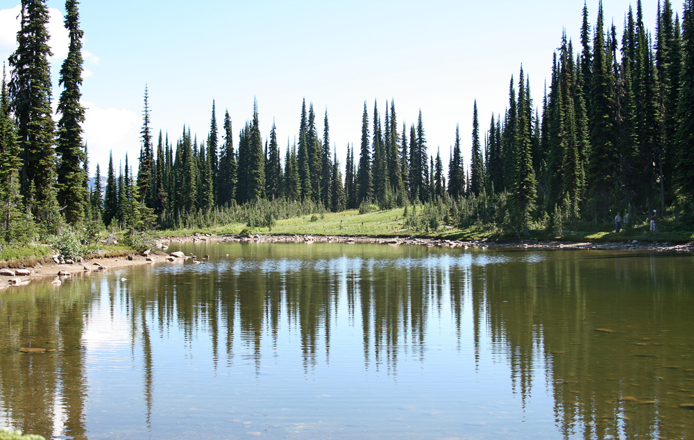 Mt. Revelstoke NP I